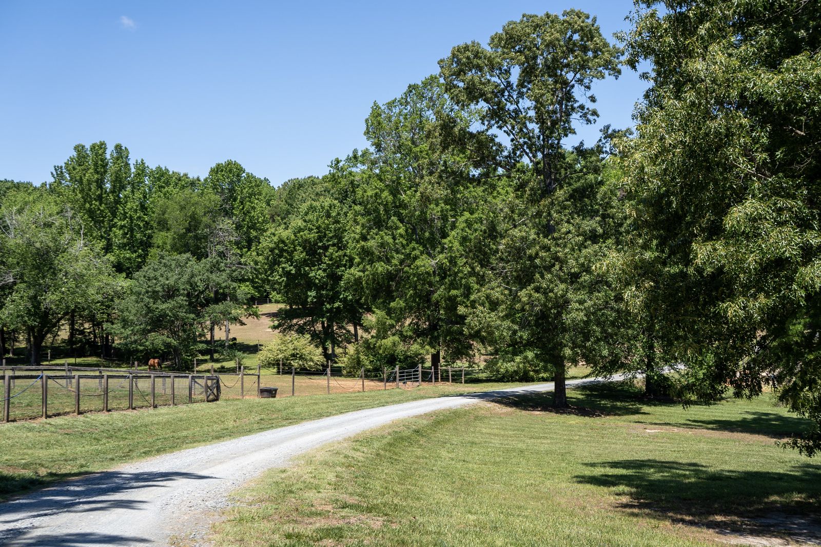 The drive leading into Keystone Stables