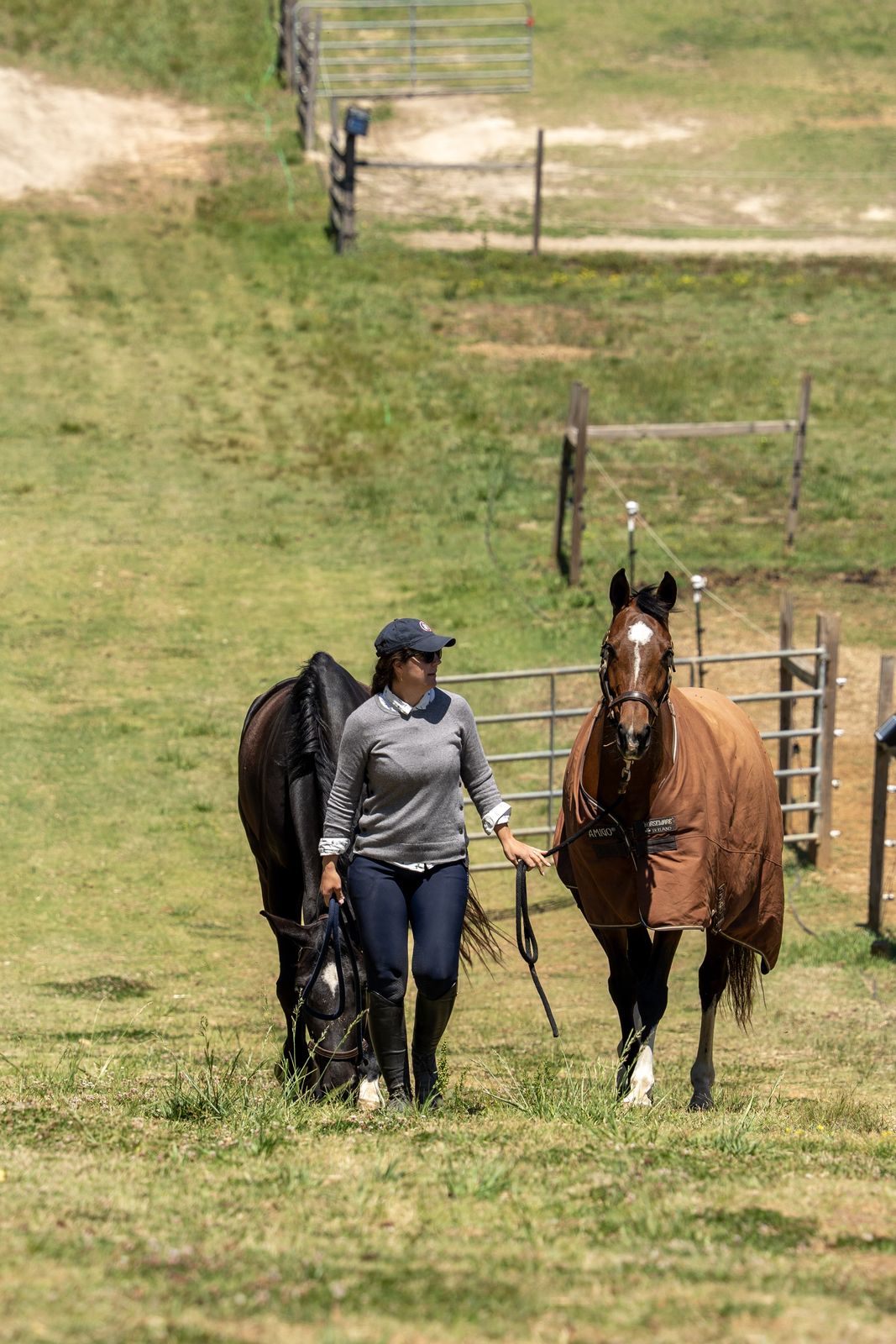 Trainer leading horses in from the pasture